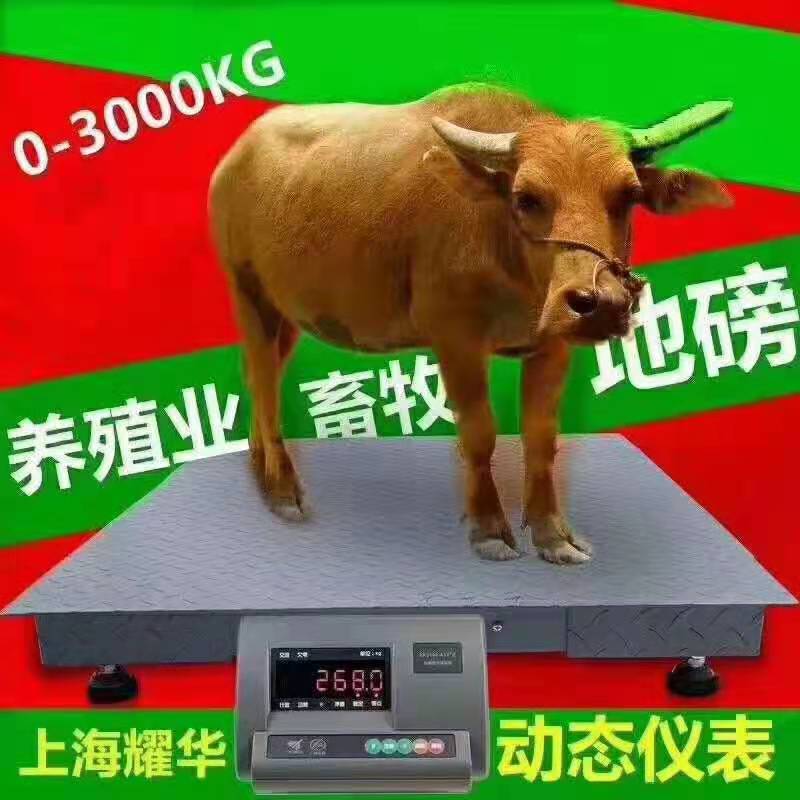 1到3噸小型地磅秤價格