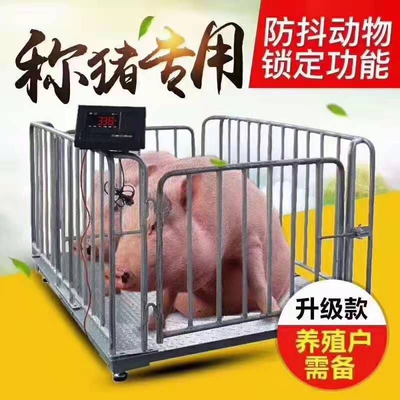 1到3噸小型地磅秤價格